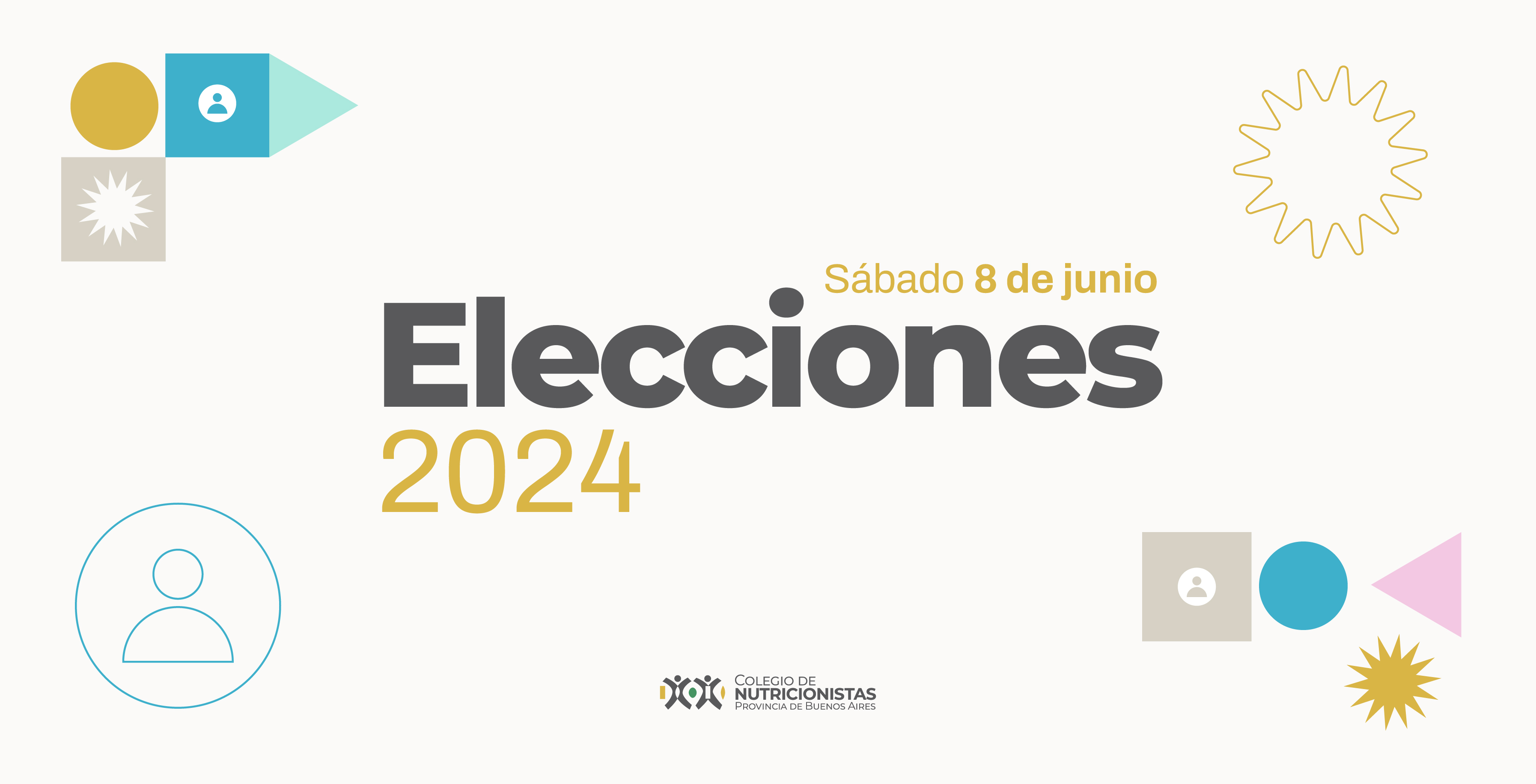 Icono Elecciones
